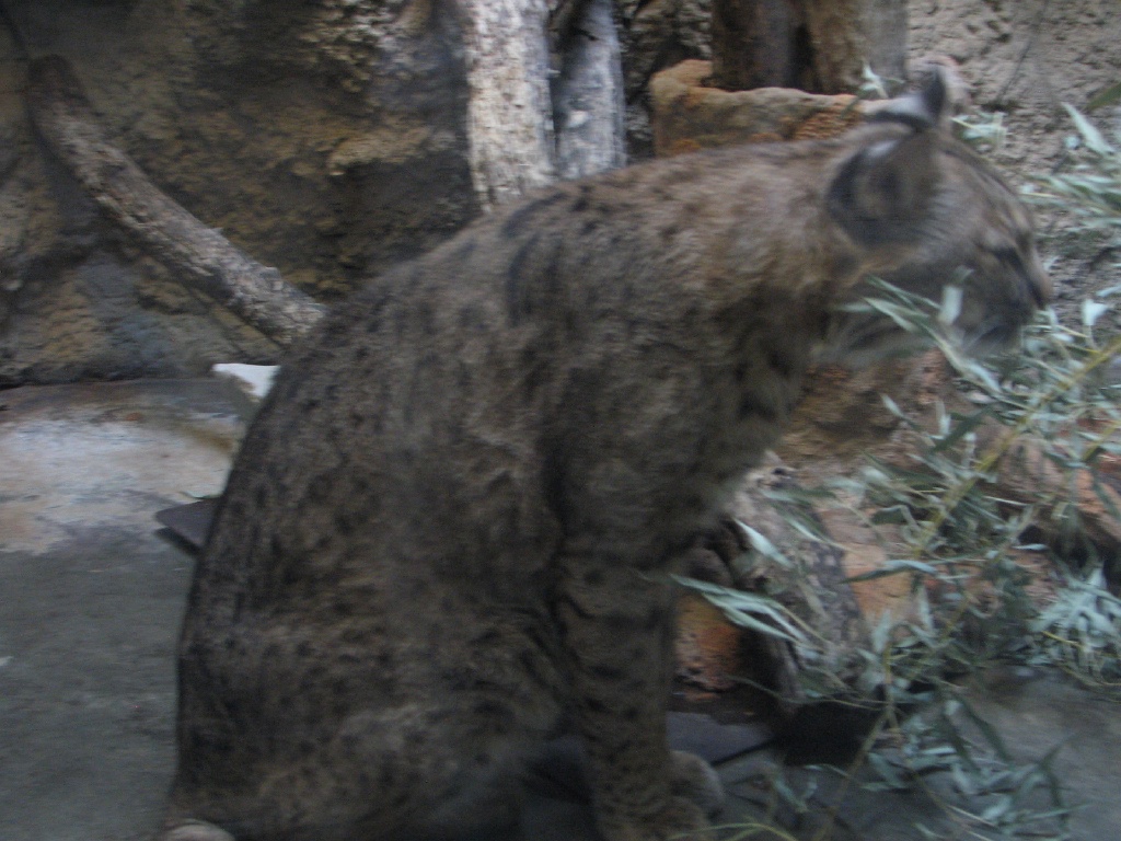 20100206 526.JPG